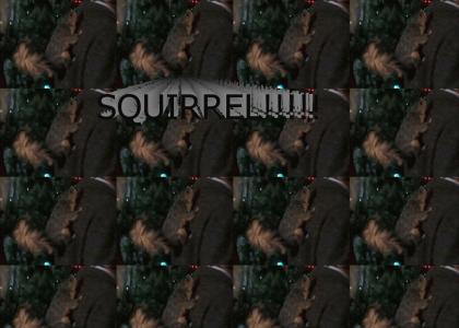 SQUIRREL!!!!!!!!!!!!!!!!!!!!!!