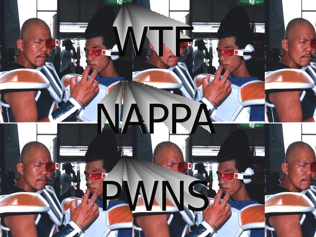 nappapwns