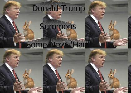 Donald Trump Summons "Hair"