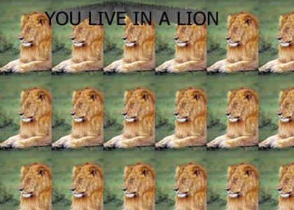 YOU LIVE IN A LION