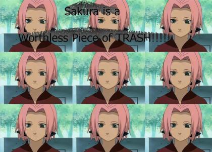 I hate Sakura Haruno