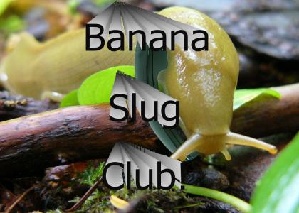 Banana Slug Phone
