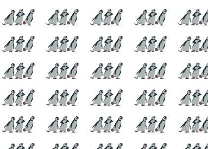 Penguins Get Down