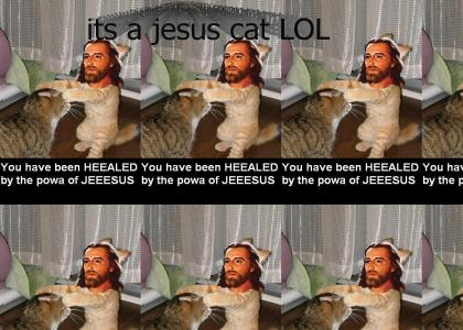our God is a kitty cat?