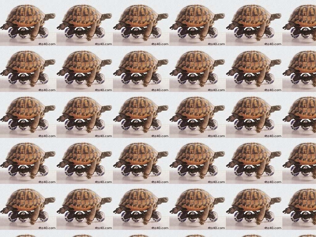 turtlegp