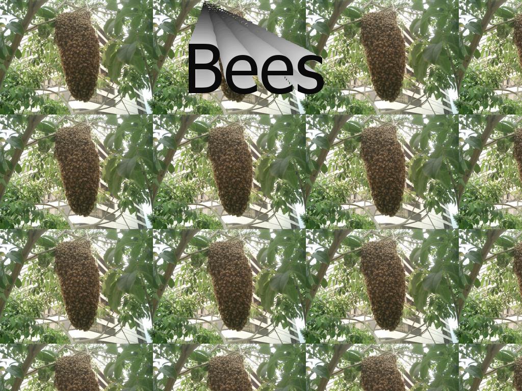 beesbees