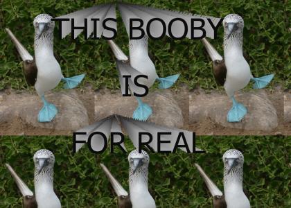 This Booby is for Real