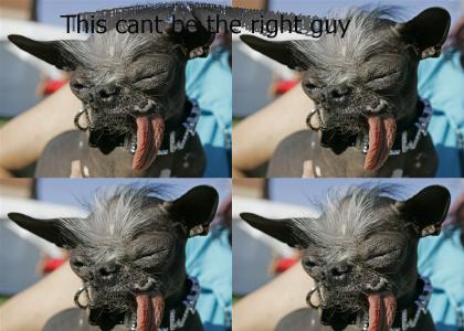 Oogie Boogie comments on the world's ugliest dog