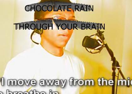 CHOCOLATE RAIN