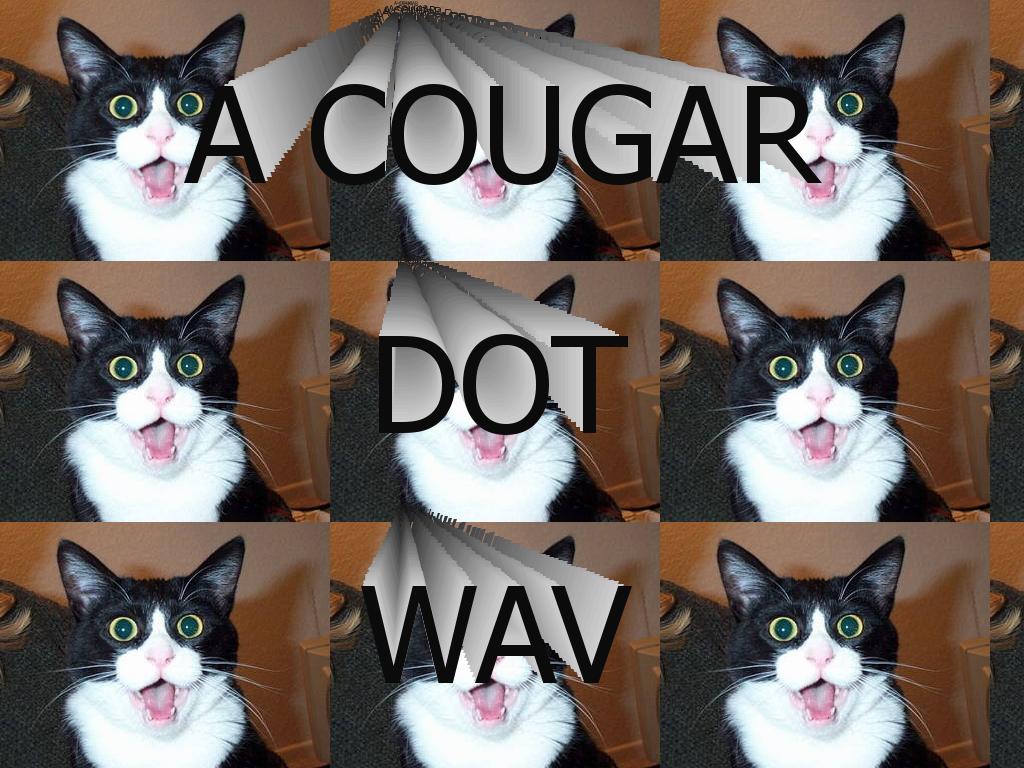 acougardotwav