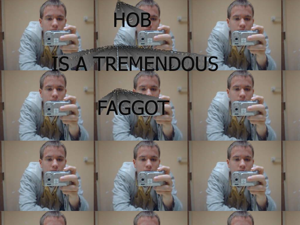 hobisfaggot