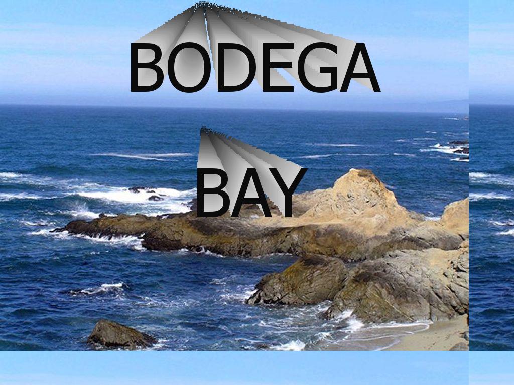 bodegabay