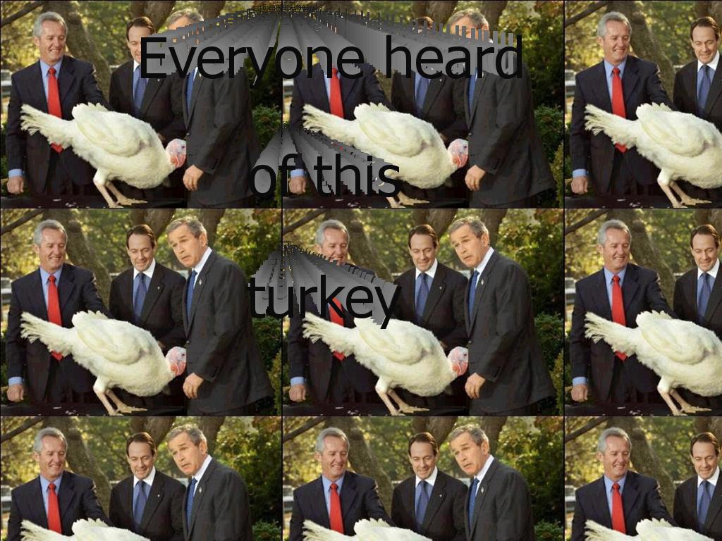 georgeturkey