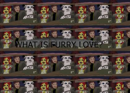 What is Furry Love?