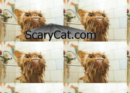 EPIC DOMAIN GRAB #4: ScaryCat.com