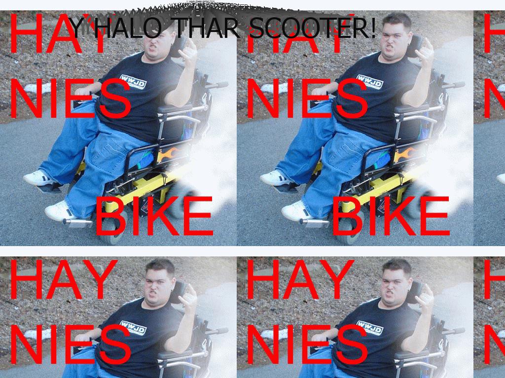 hayniesbike