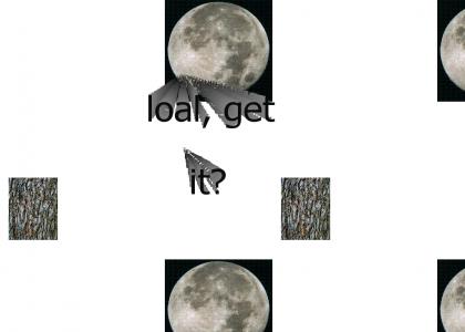Bark At the Moon!