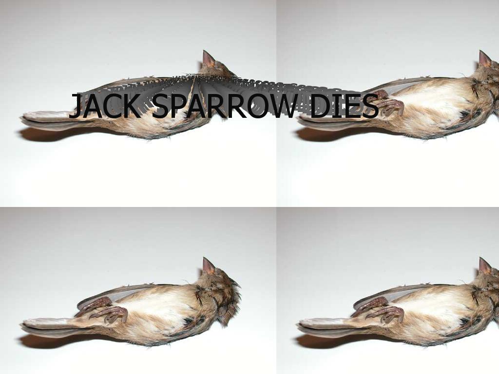 jacksparrowdies