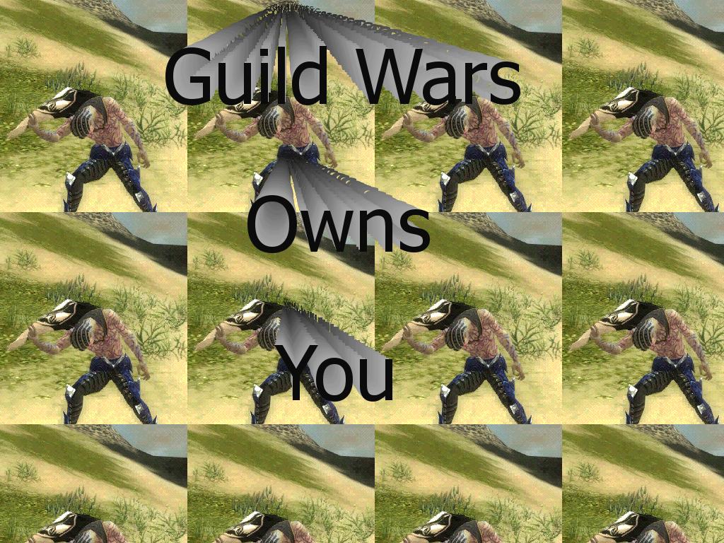 guildwarsownsyou