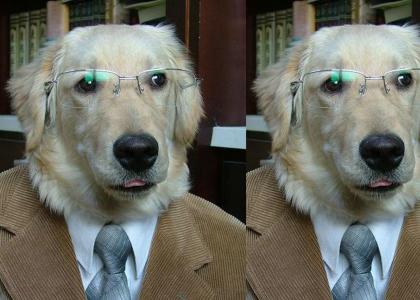 Professor DOG