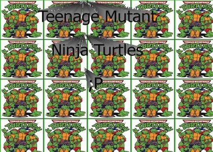 TMNT Theme