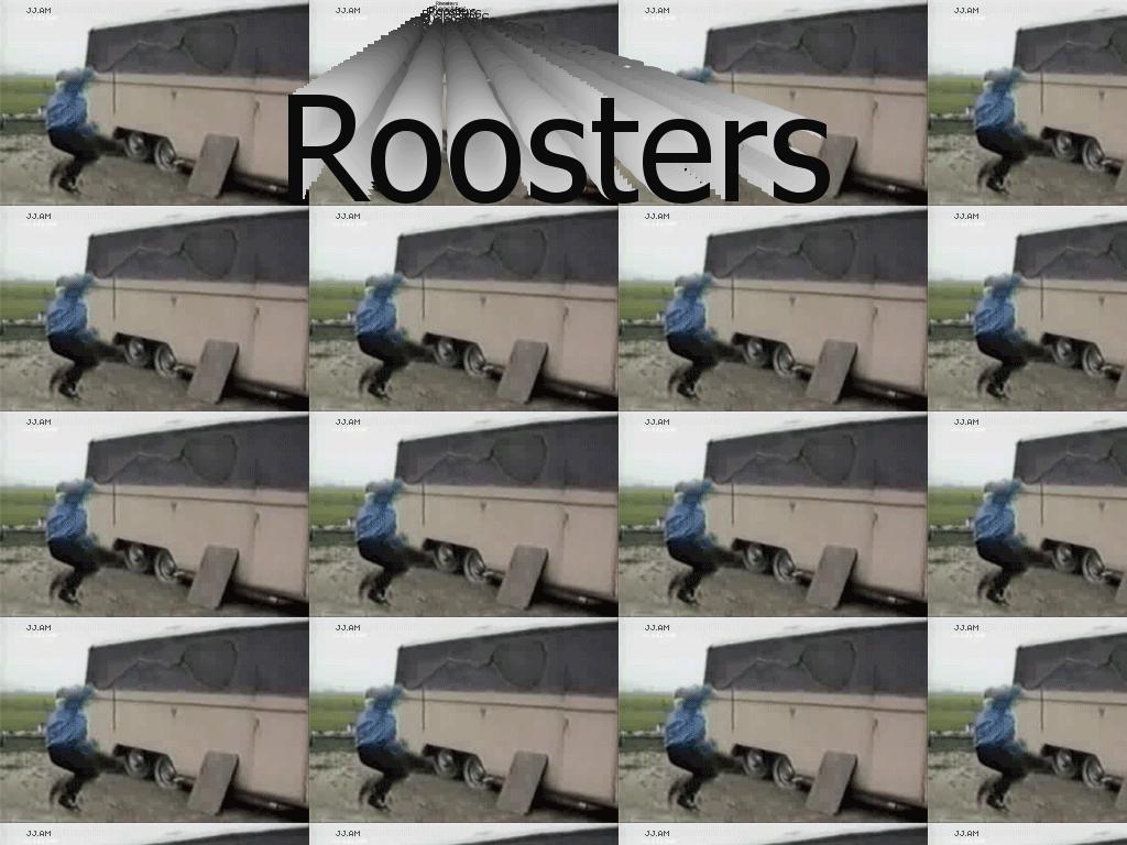 roosterattack