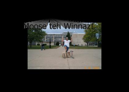 Moose Wins!