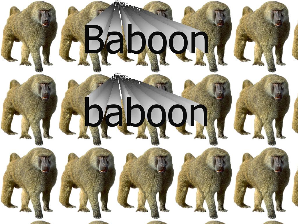 baboonbaboon