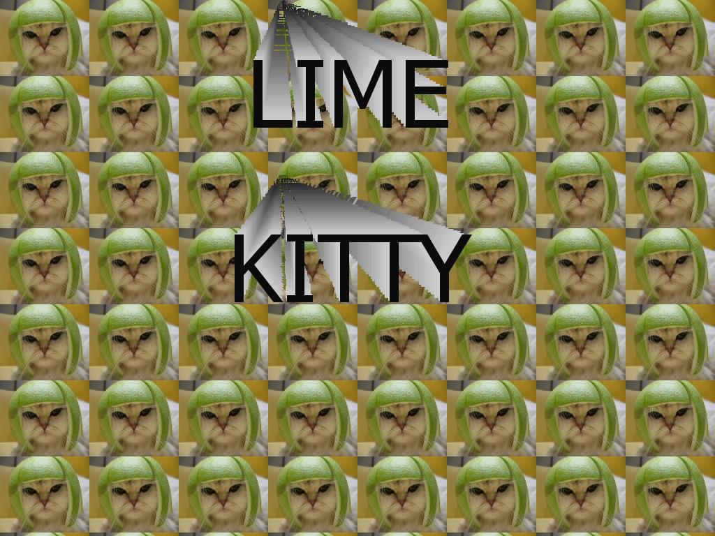 lime-cat-jer