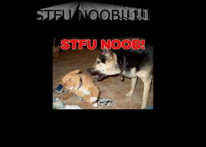 STFU noobs!