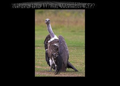 Vulture Mating Season