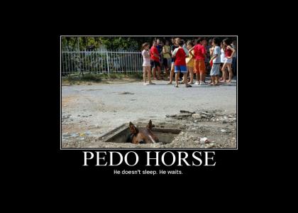 Pedo Horse