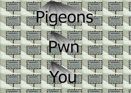 Pigeon** march!!! **Lol Update**