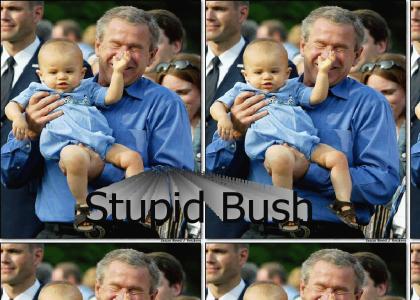 Stupid Bush