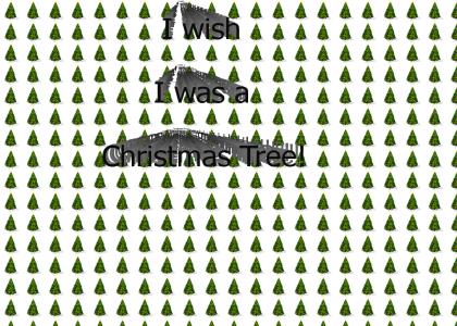 I wish I was a christmas tree!