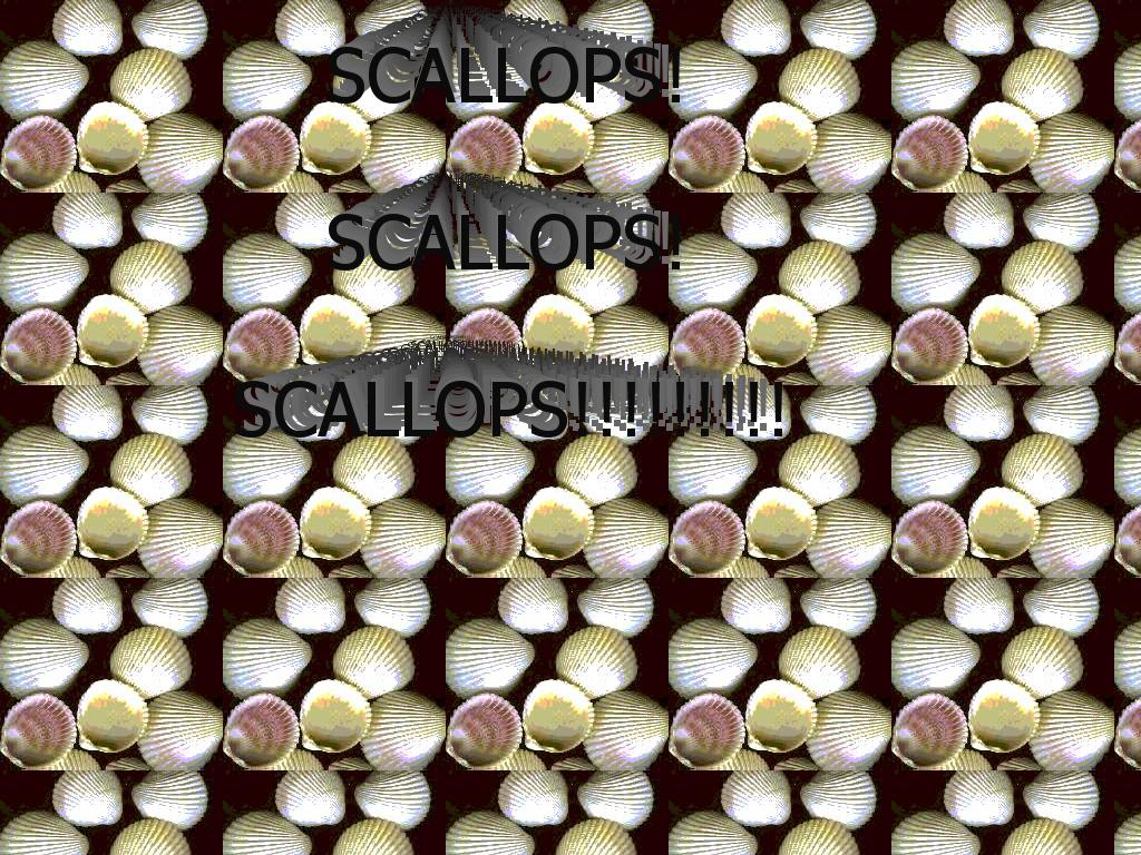 scallops