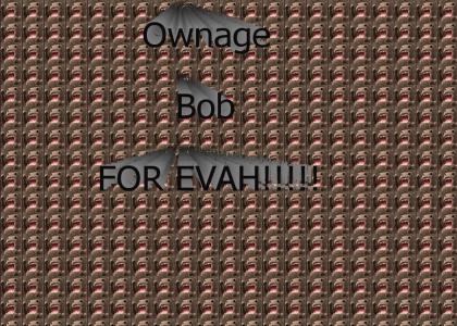 Ownage Bob