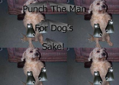 Punch the Man for Dog's Sake!!