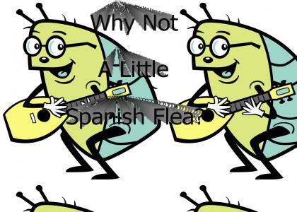 Spanish Flea