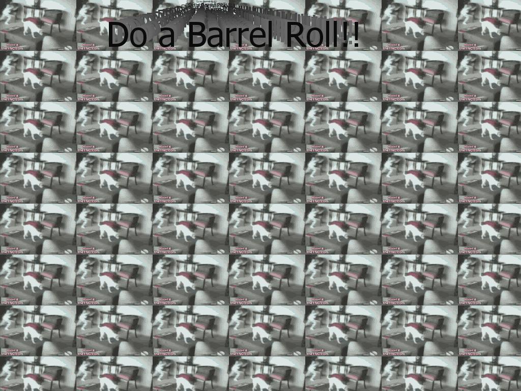 dogbarrelrollrave