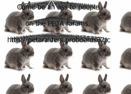 Raiding PETA