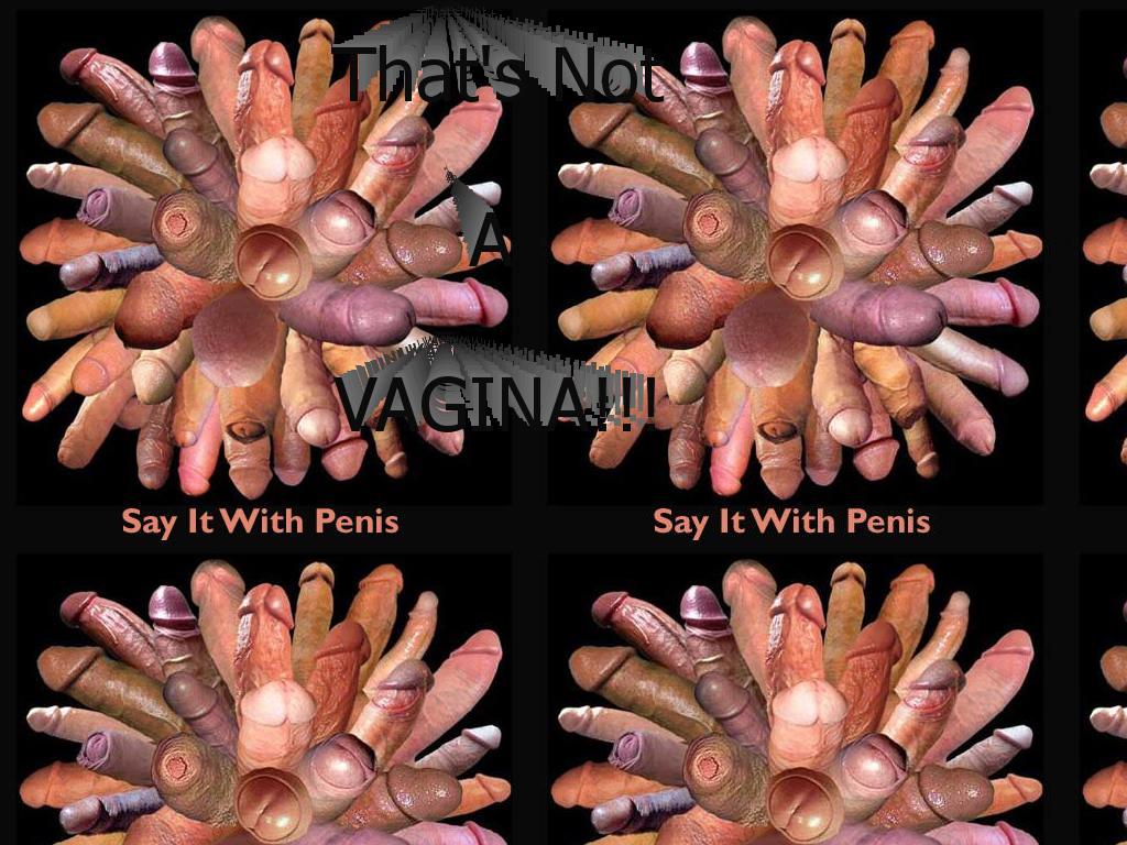 vagina