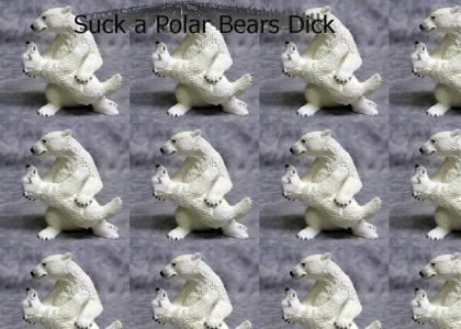 Suck a polar bear's dick
