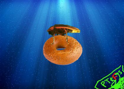 Firefly on a bagel underwater