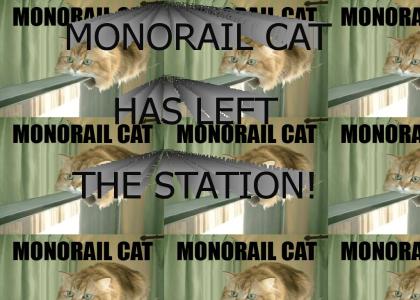 MONORAIL CAT HAS LEFT THE STATION!