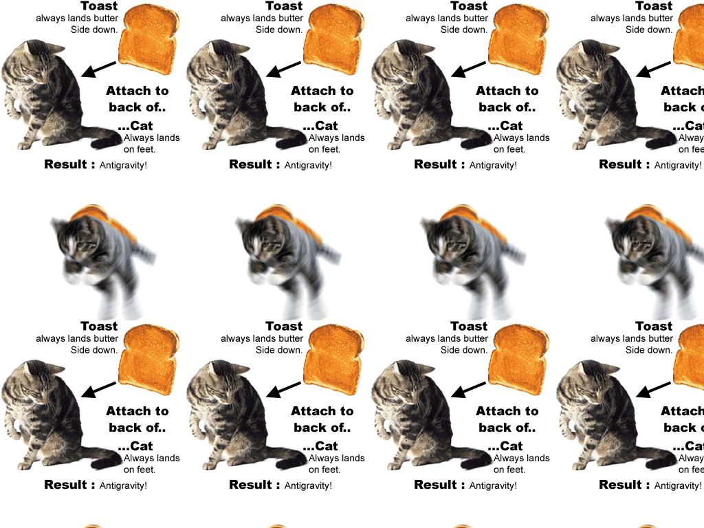 epiccatandtoast