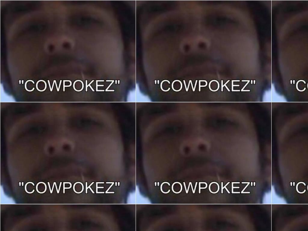 cowpokez