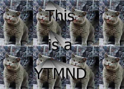 This is a YTMND!