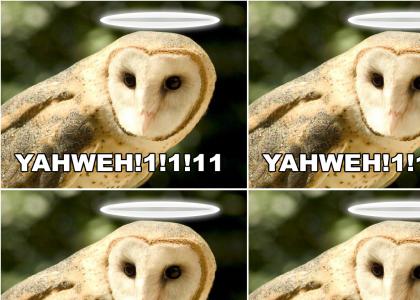 Yahweh Owl!!!111!!111!