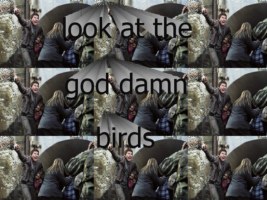 gdbirds